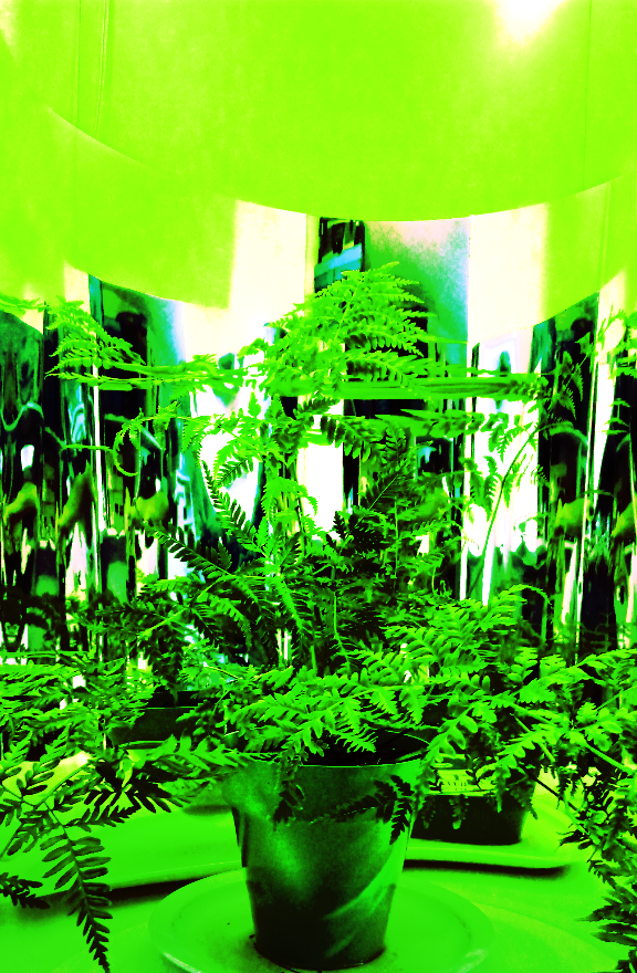 OMPHALOS bioinstalación